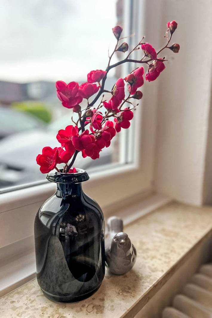 Strandhaus für 5 Personen, mit Garten, mit Haustier in Ostfriesland - 3