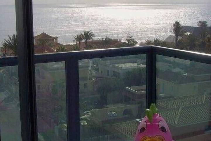 Apartment for 7 people, with pool and balcony as well as garden in Mar Azul Torrevieja
