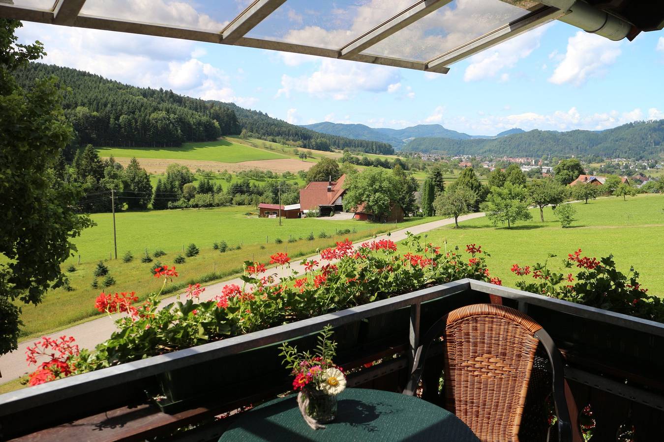 Ganze Wohnung, Apartment 'Ahorn im Schwarzwald' mit Gemeinschaftsterrasse, Balkon und Wlan in Zell am Harmersbach, Mittlerer Schwarzwald