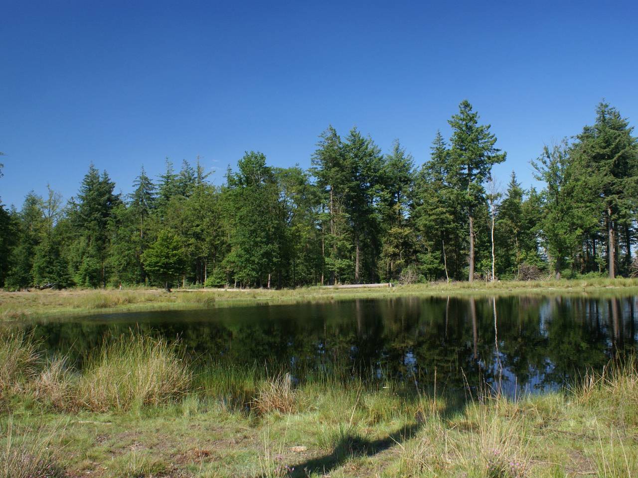 Geschmackvoll eingerichtetes Bauernhaus aus dem 19. in Nationaal Park Dwingelderveld
