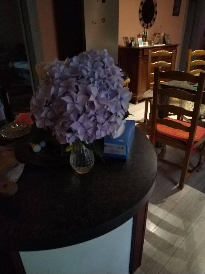 Gîte pour 4 personnes, avec Terrasse ainsi que Jardin et Vue à Cransac - 2