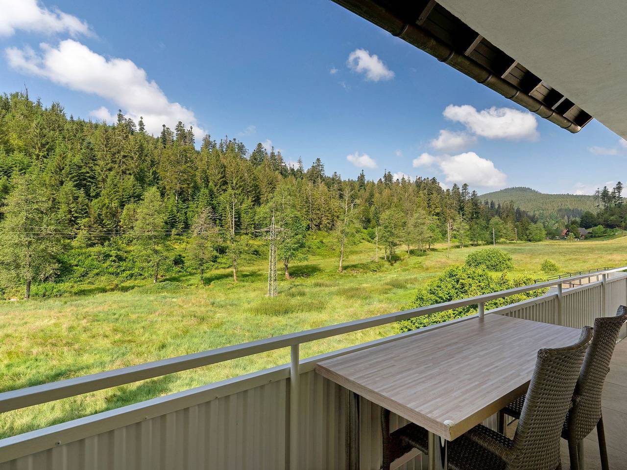 Ganze Ferienwohnung, Haus Gisela - Ferienwohnung am Wasserfall in Hundsbach, Forbach