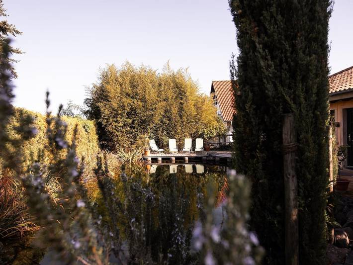 Ferienwohnung für 2 Personen, mit Garten und Sauna, kinderfreundlich in Deutsche Weinstraße - 4