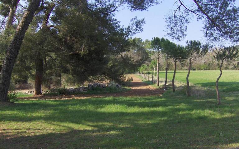 Location de vacances pour 2 personnes, avec jardin à Fox-Amphoux - 3