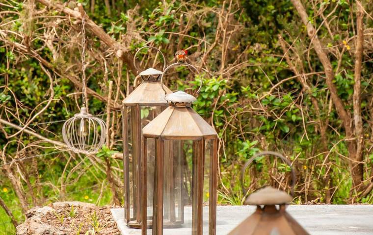 Gîte pour 2 personnes, avec jacuzzi et jardin à la Plaine des Cafres - 4