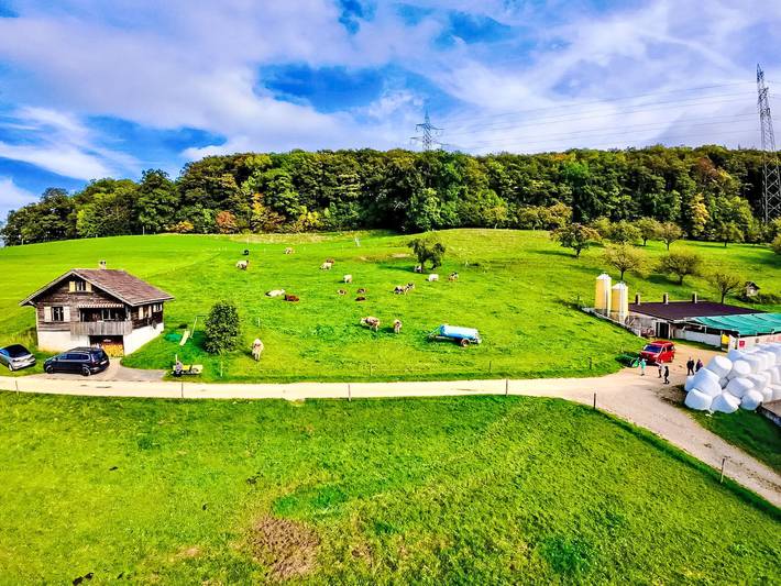 Chalet Staufenhof in Wintersingen, Region Basel RDK