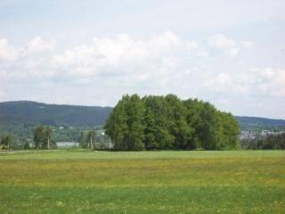 Ferienhaus für 4 Personen, mit Garten, mit Haustier in Weißenstadt - 3