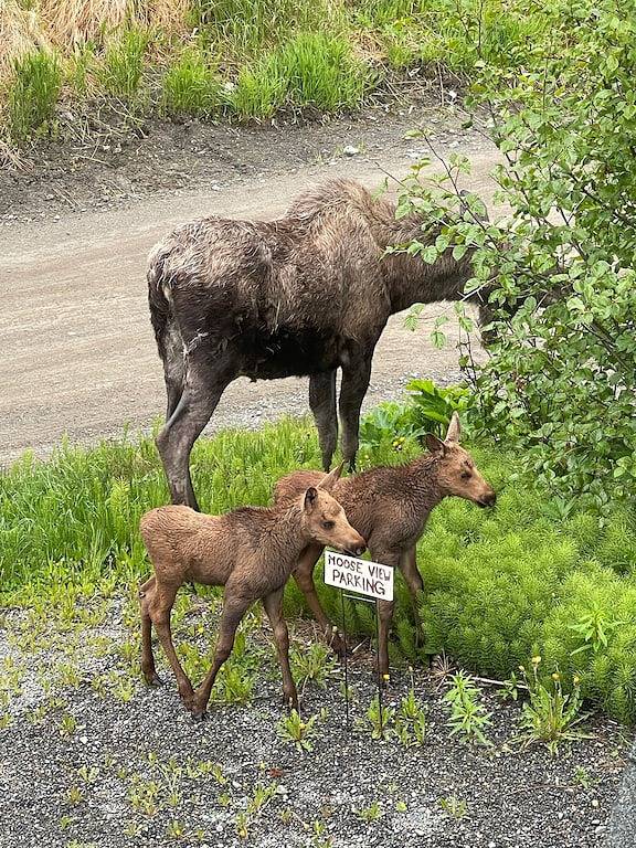 Ganze Wohnung, Breathtaking Views of Kachemak Bay in Homer, Kenai Peninsula