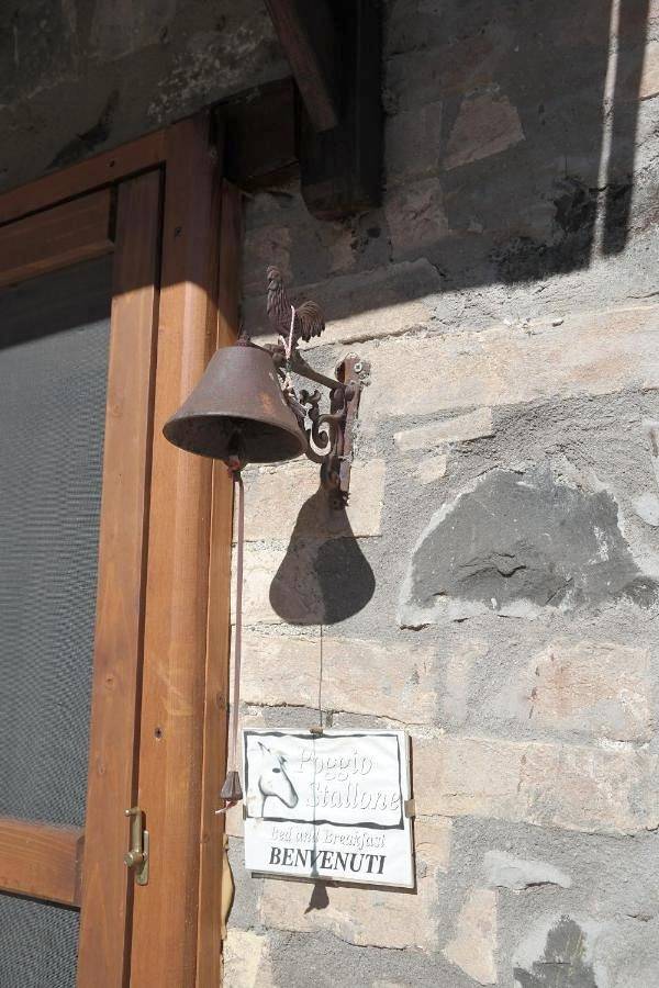 Chambre d’hôte pour 2 personnes, avec jardin à Orvieto - 3