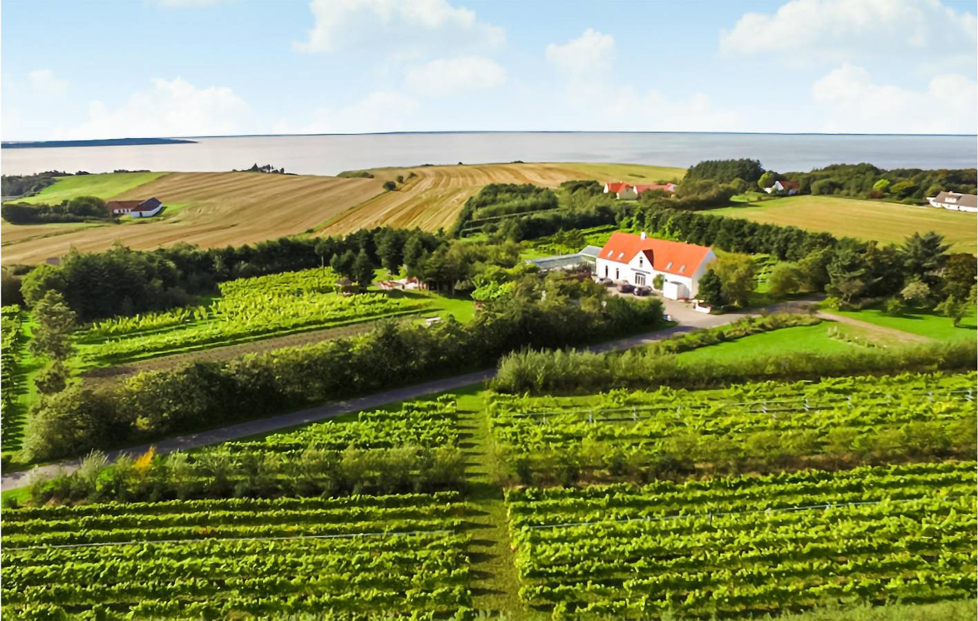 Holiday home for 8 people with garden in Limfjord in Nordjütland