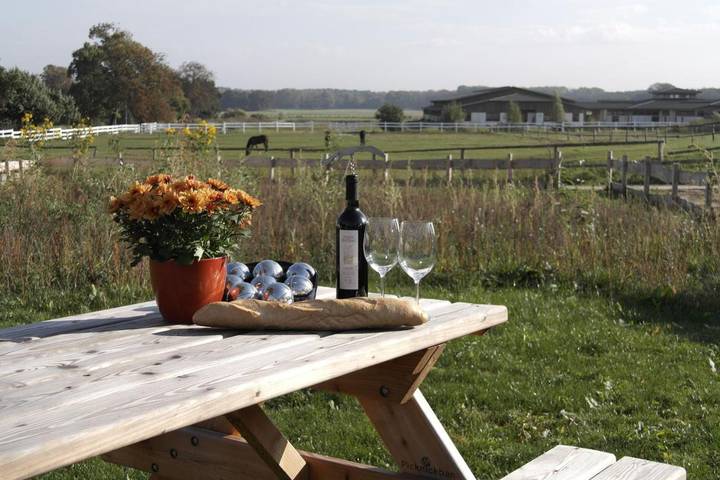 Ferienhaus für 7 Personen, mit Whirlpool und Garten sowie Terrasse und Sauna, mit Haustier in Göhren-Lebbin - 4