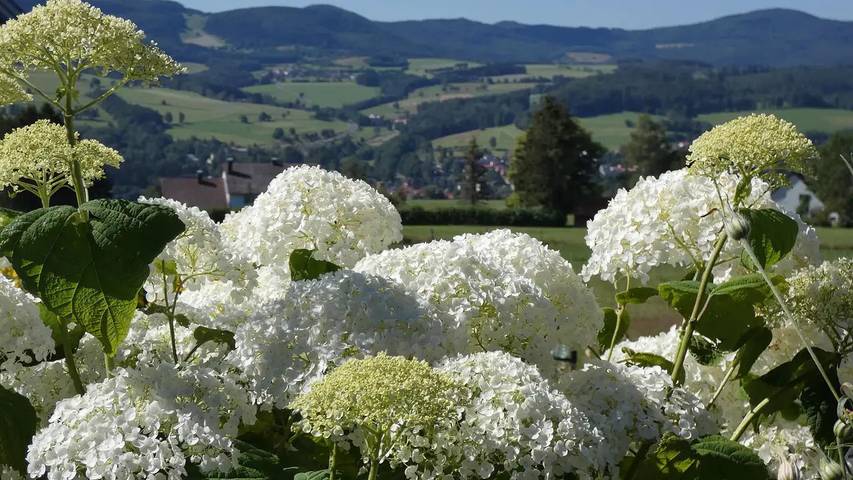 Ferienwohnung für 2 Personen, mit Garten in Gersfeld - 3