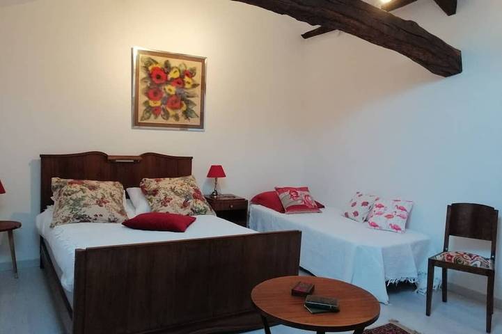 Gîte pour 5 personnes, avec terrasse et jardin à Port-de-Lanne - 4