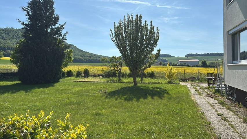 Ferienwohnung für 4 Personen in Bad Wildungen