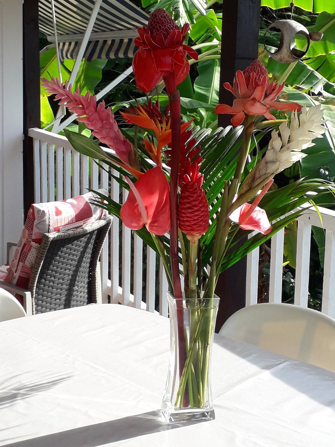 Charming bungalow in Bouillante with terrace and barbecue in Bouillante, Guadeloupe (Caribbean)