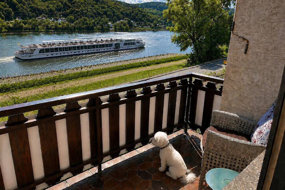 Ganze Wohnung, Ferienwohnung direkt am Rhein -❤️ Blick & Top-Lage nahe Loreley. Hundefreundlich in Sankt Goarshausen, Mittelrhein