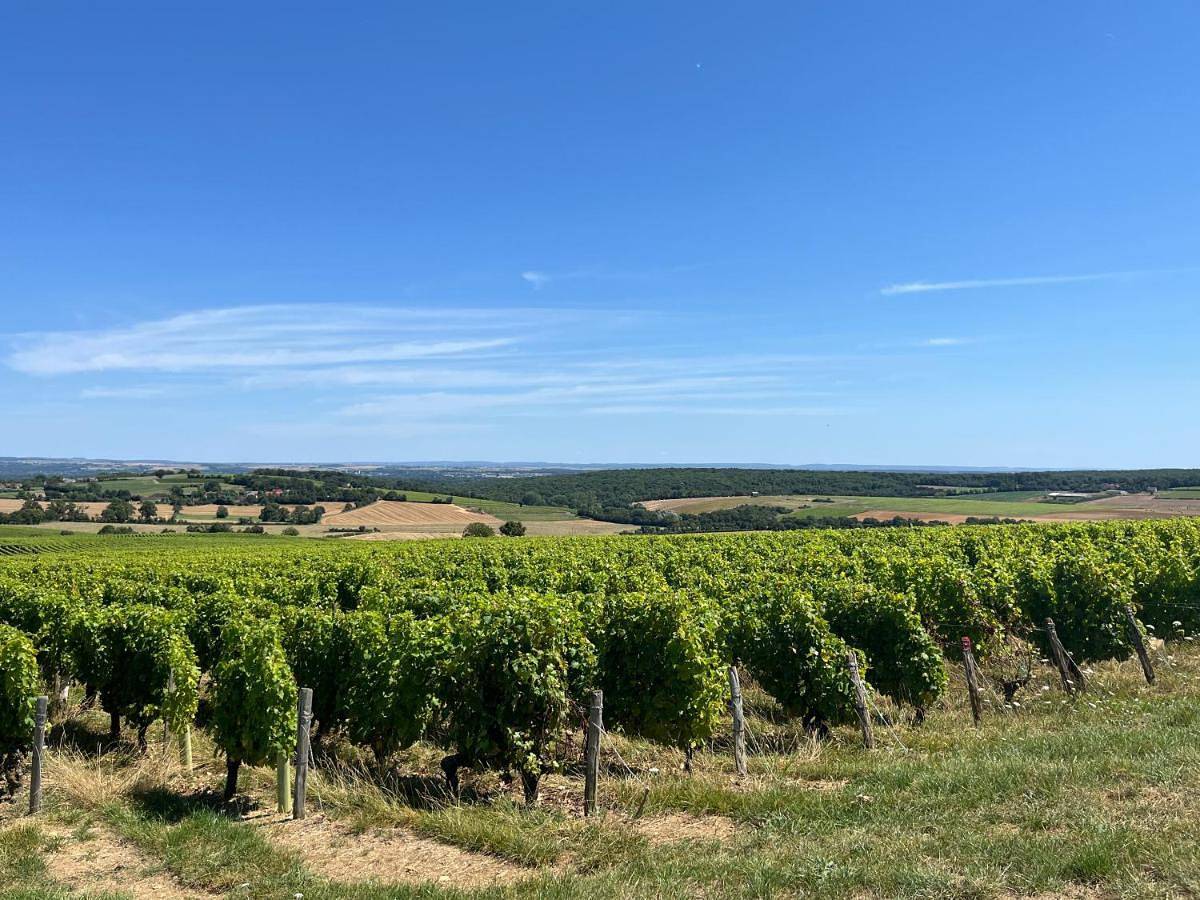 Auberge Sainte-Gemme in Sainte-Gemme-en-Sancerrois, Région de Bourges