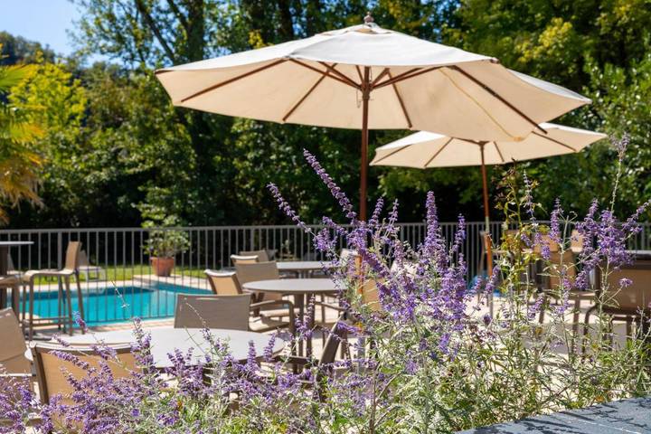 Hôtel pour 2 personnes, avec jardin et piscine ainsi que sauna et jacuzzi, animaux acceptés à Cajarc - 4