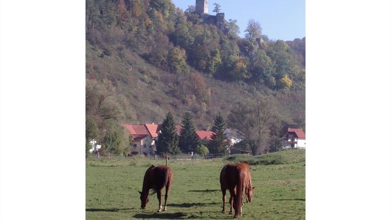 Ganze Ferienwohnung, Ferienwohnung für 4 Personen (50 m²) in Gomadingen in Gomadingen, Neckar-Alb