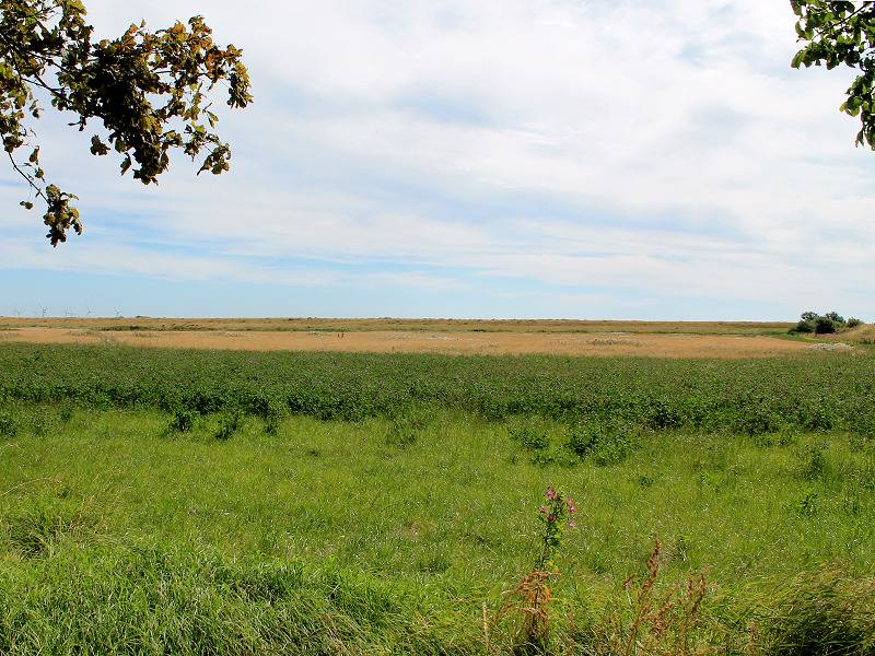 Deichhus Nordseeliebe - Deichhus Ferienzimmer 2 in Dagebüll, Nordfriesland