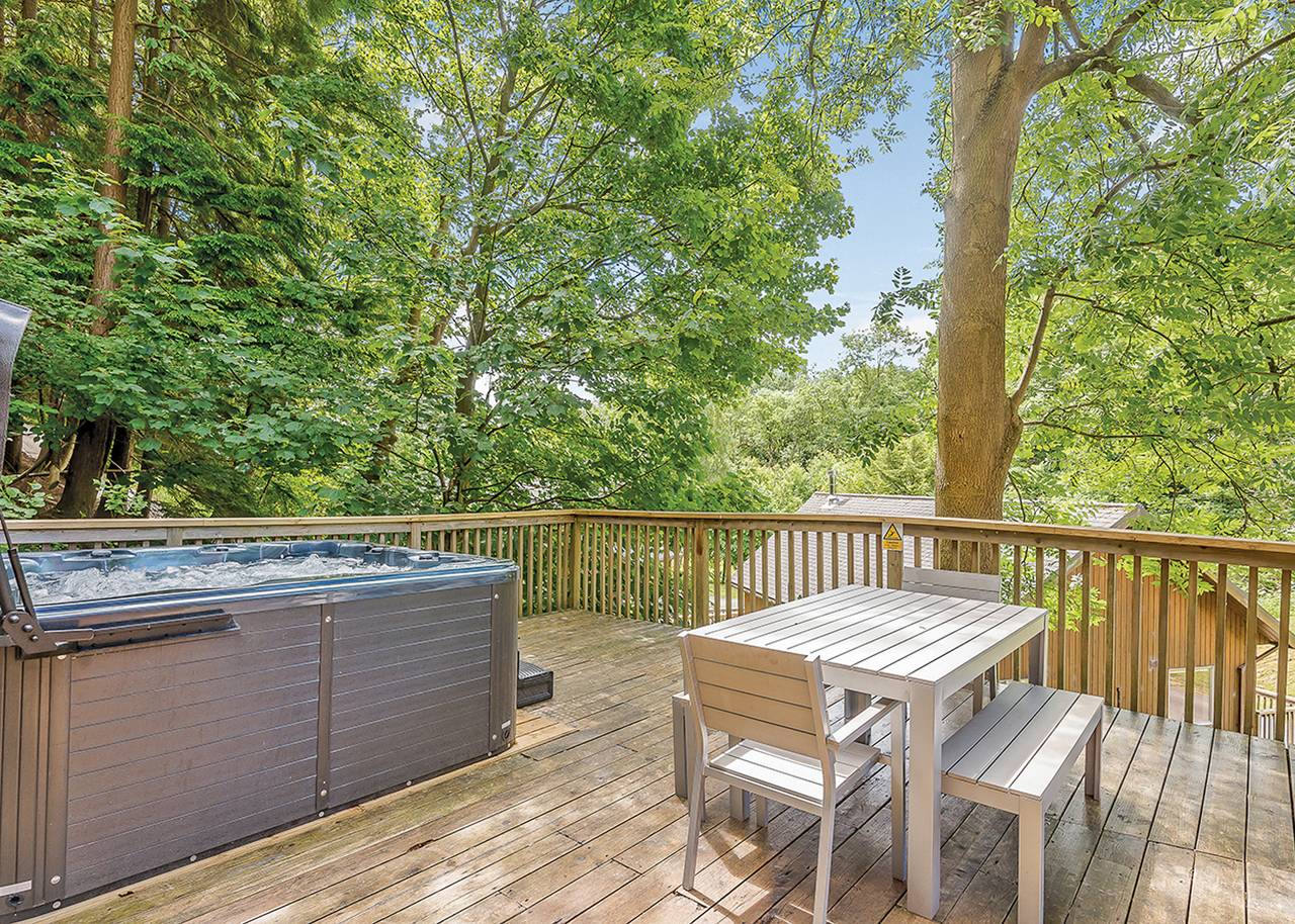 Birches Lodge* in Denbighshire