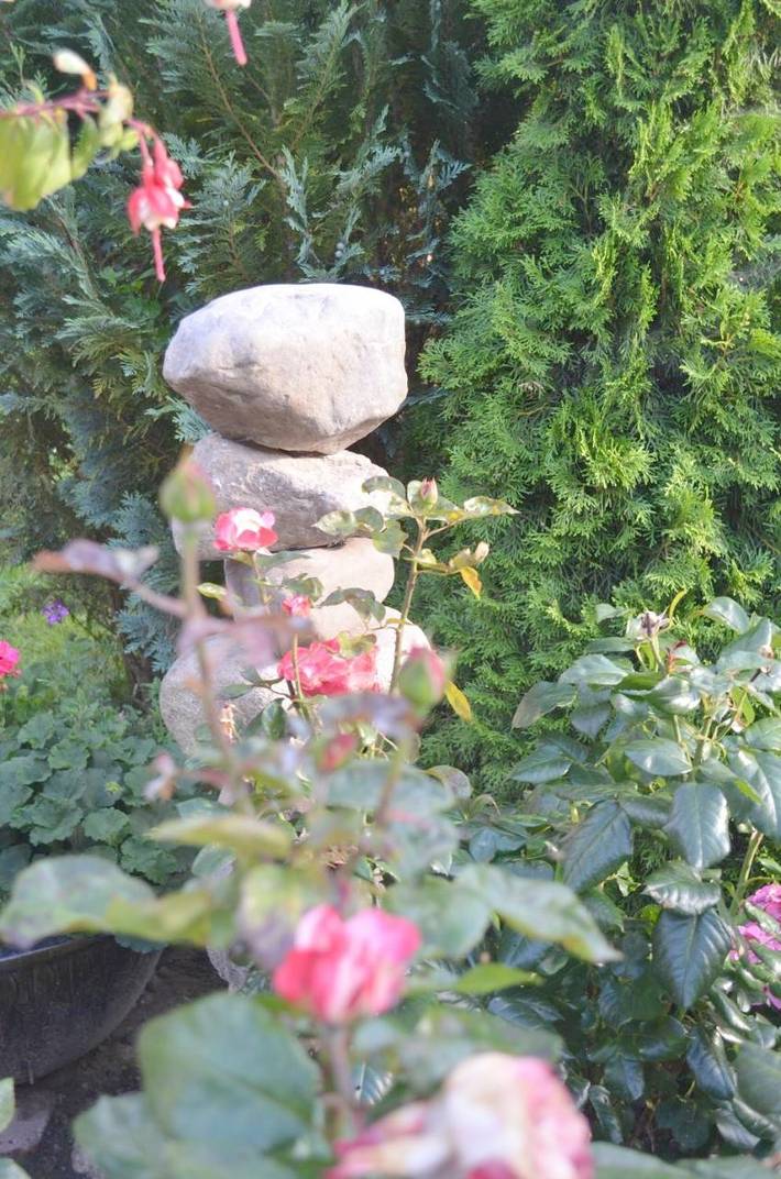 Ferienwohnung für 6 Personen, mit Garten, kinderfreundlich in Wangels - 4