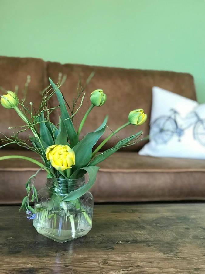 Hôtel pour 3 personnes, avec jardin et vue, animaux acceptés