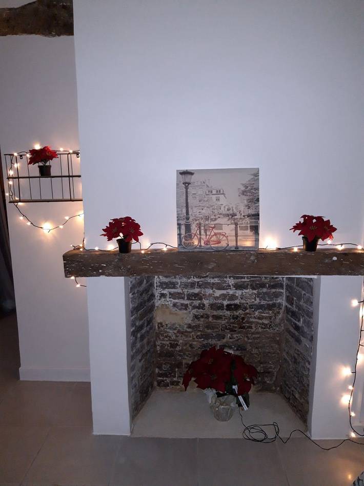 Gîte pour 4 personnes, avec jardin dans Lac d'Orient - 3