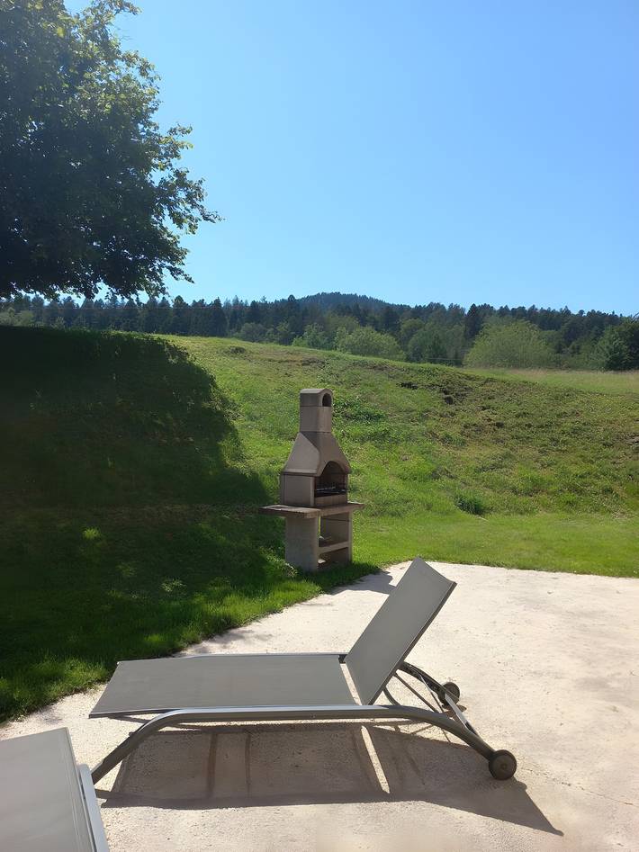 Gîte pour 12 personnes, avec jardin, animaux acceptés dans les Vosges - 3