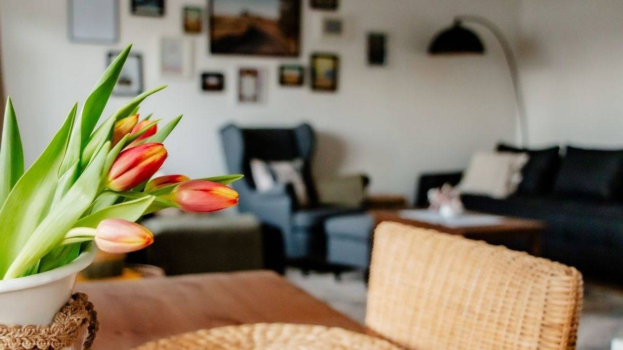 Ferienhaus für 6 Personen (90 m²) in Reiherberg in Warnitz, Uckermark