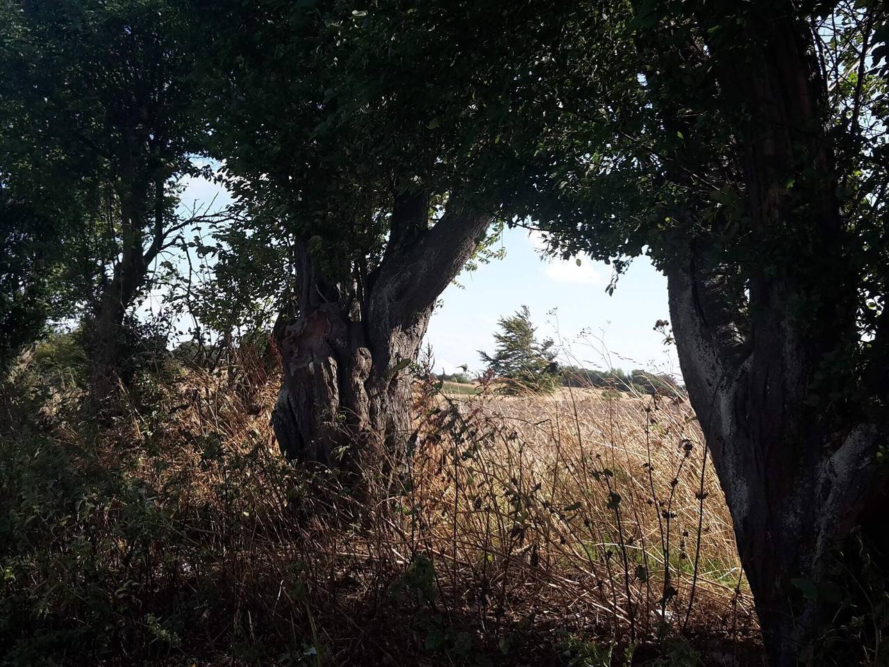 6 Personen Ferienhaus in Tranekær in Dageløkke, Tranekær