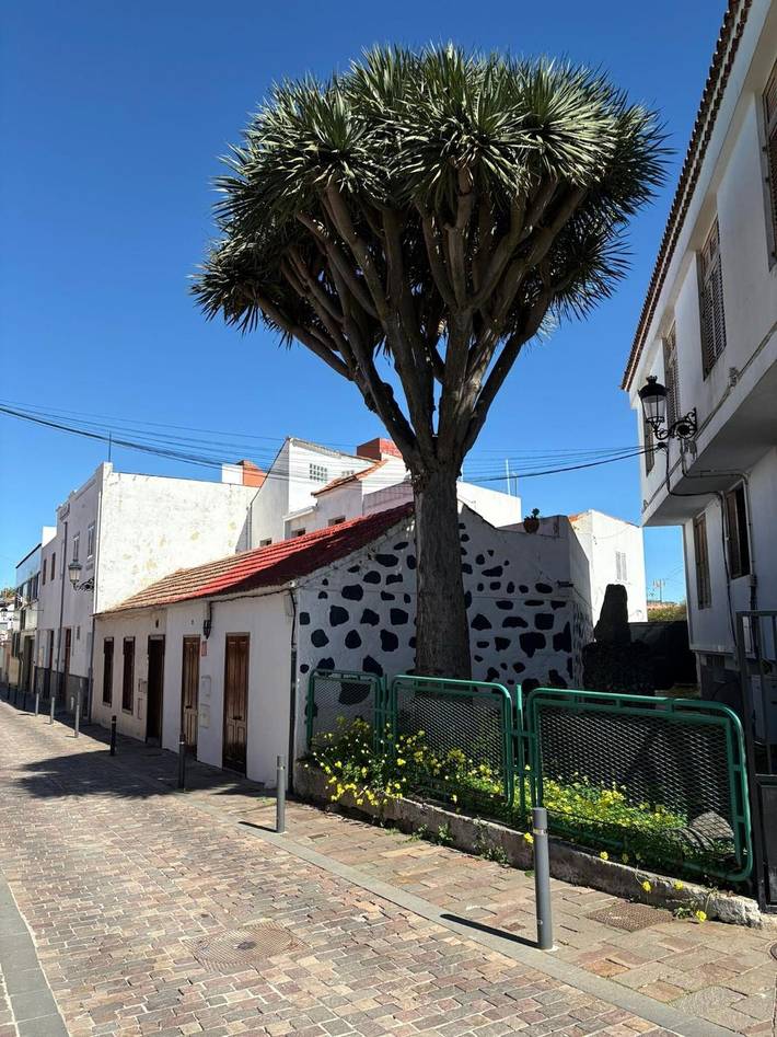 Casa de vacaciones para 5 personas, con balcón, Se admiten mascotas en Gran Canaria