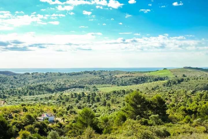 Gîte pour 2 personnes, avec Terrasse ainsi que Jardin et Vue à Oropesa del Mar