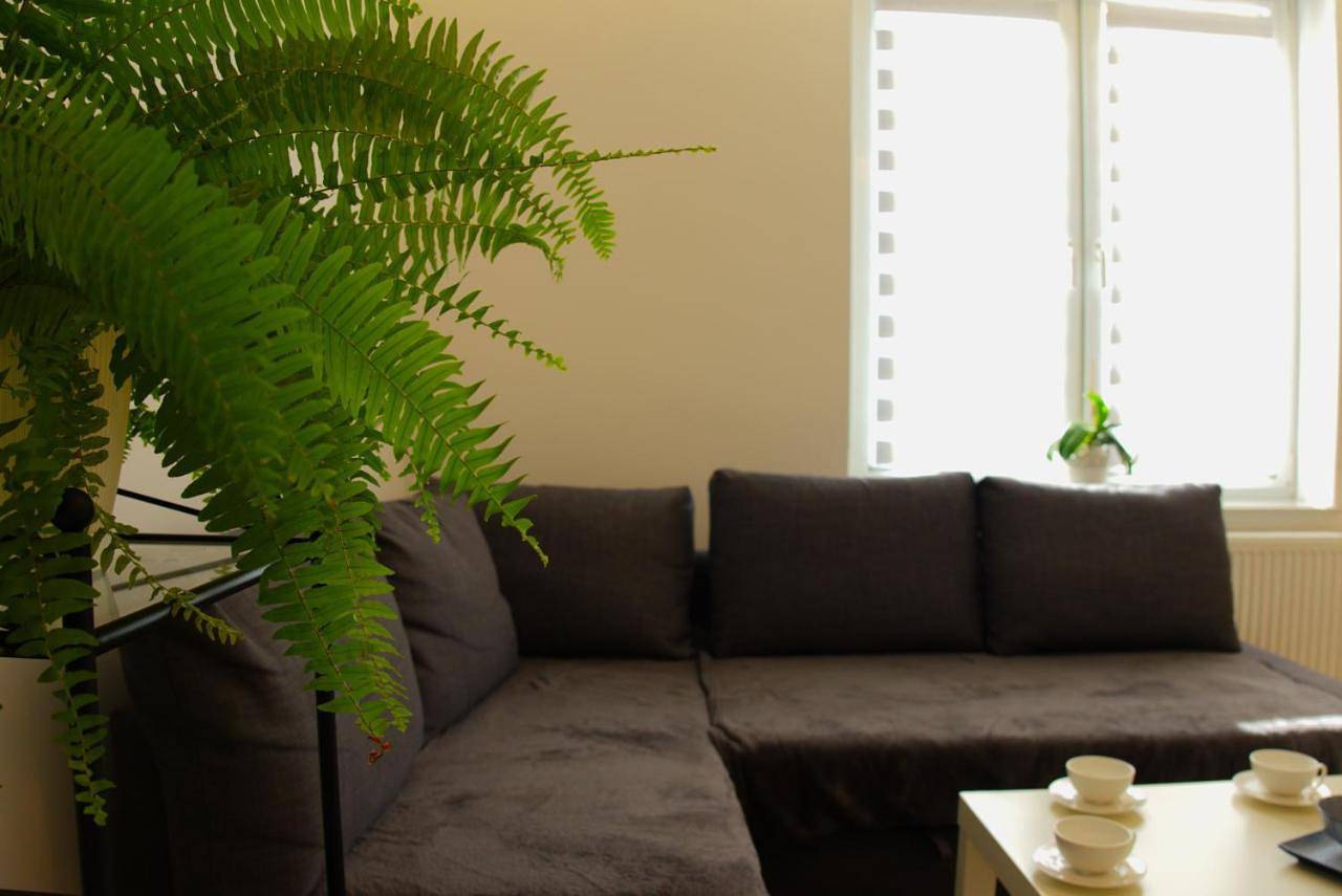 Cały apartament, Apartament Centrum Rynek in Bolesławiec, Dolny Śląsk