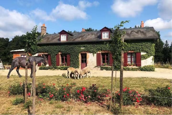 Chambre d’hôte pour 5 personnes, avec Terrasse ainsi que Jardin et Vue à Châtenoy