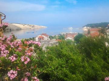 Apartament Wakacyjny dla 6 osoby w Lopar, Rab (wyspa), Zdjęcie 1