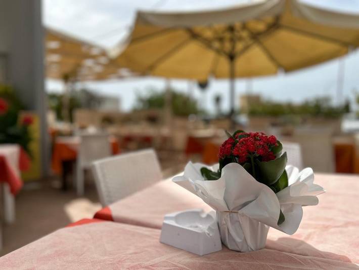 Hotel para 4 personas, con vistas y jardín, Se admiten mascotas - 1
