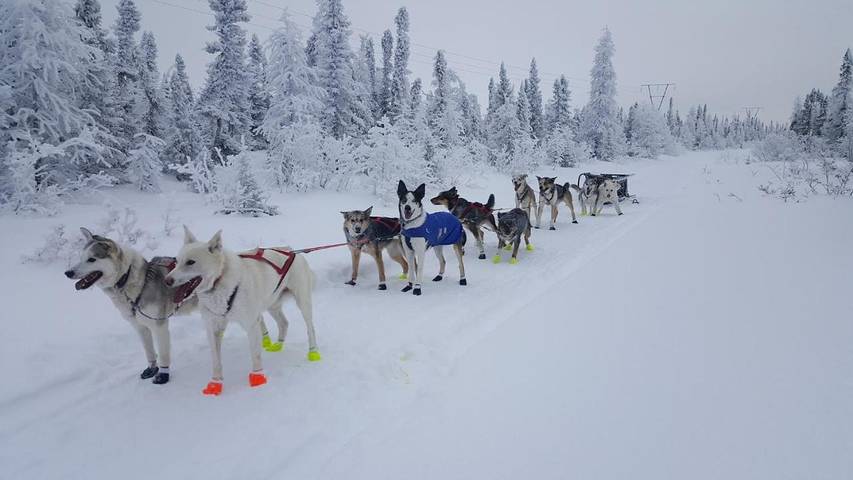 Gîte pour 2 personnes à Winston Churchill - 4