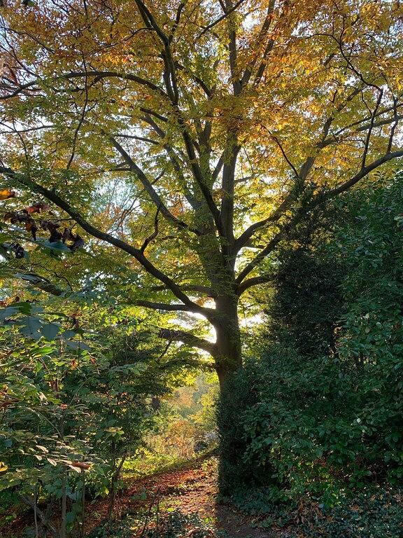 Vacation Home for 4 Guests in Maryland, USA