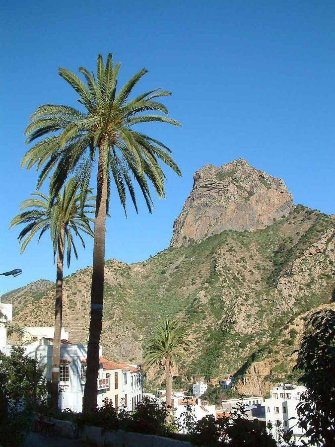 Casa rural para 5 personas, con vistas y jardín, Se admiten mascotas en La Gomera - 3