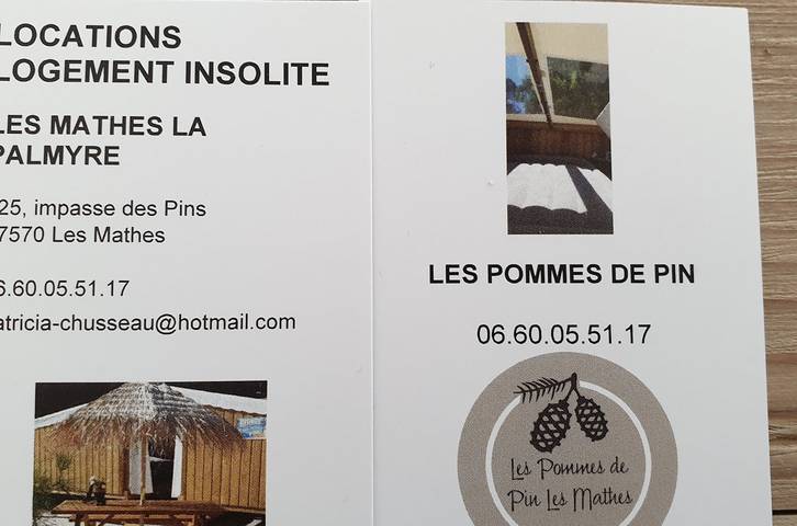 Gîte pour 4 personnes, avec jardin à Les Mathes - 3