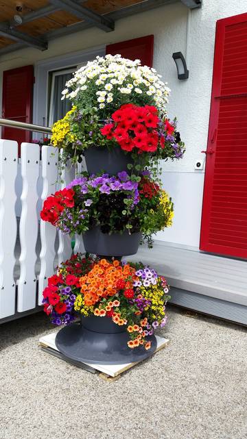 Ferienwohnung für 5 Personen in Jura & Drei-Seen-Land, Kanton Jura, Bild 3