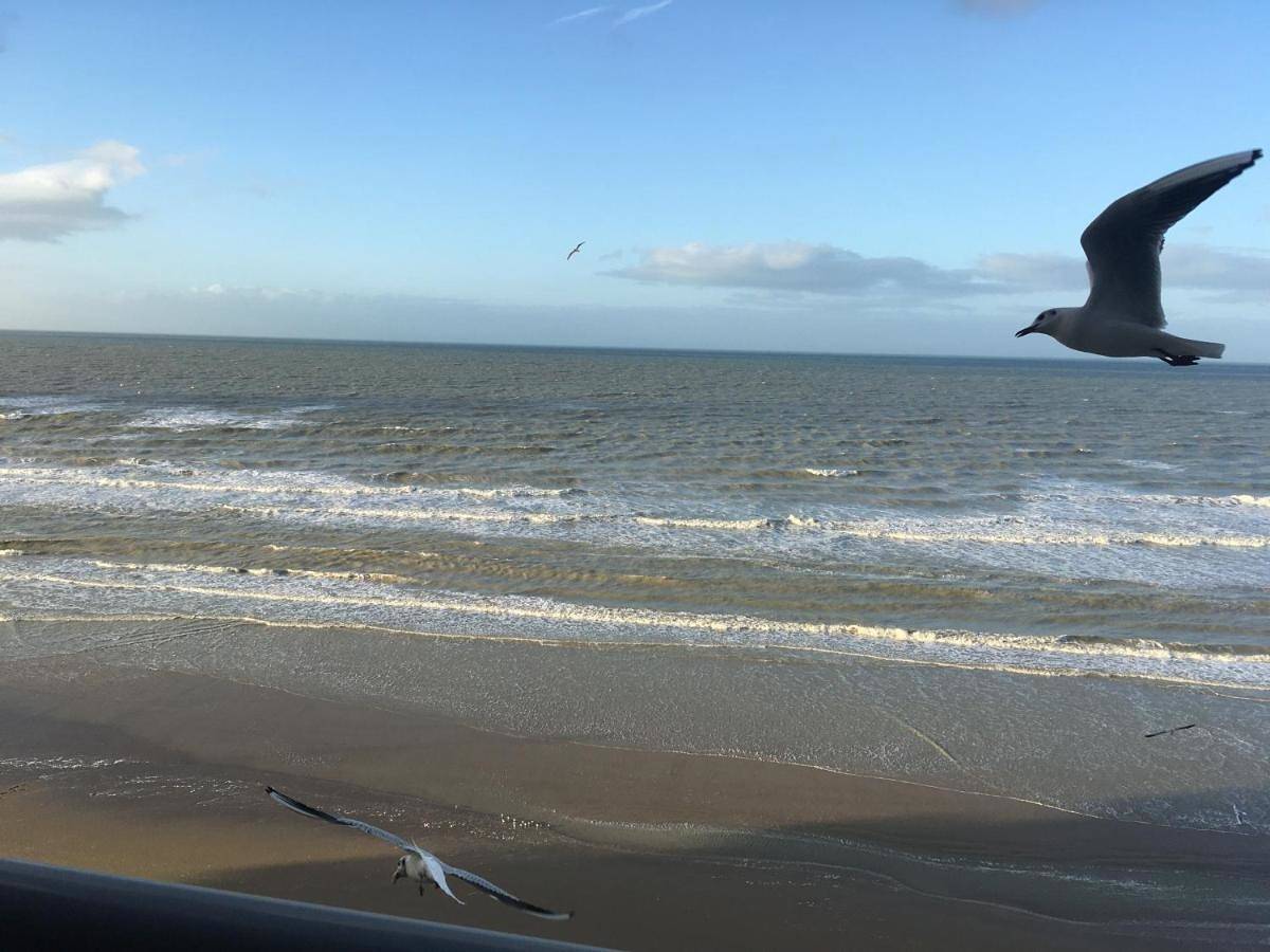 Ganze Wohnung, Entre dunes et mer in Bray-Dunes, Flanderns Dünenküste
