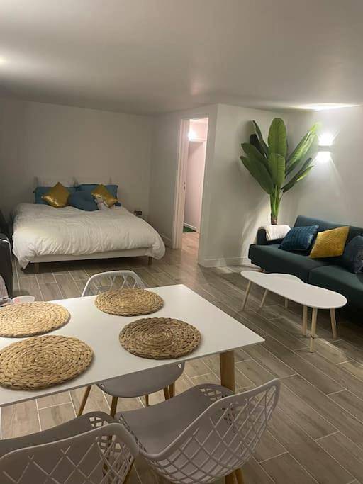 Gîte pour 3 personnes, avec jacuzzi à Ris-Orangis - 4