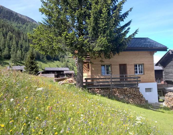 Ferienhaus für 5 Personen, mit Balkon und Terrasse sowie Ausblick in Reckingen-Gluringen