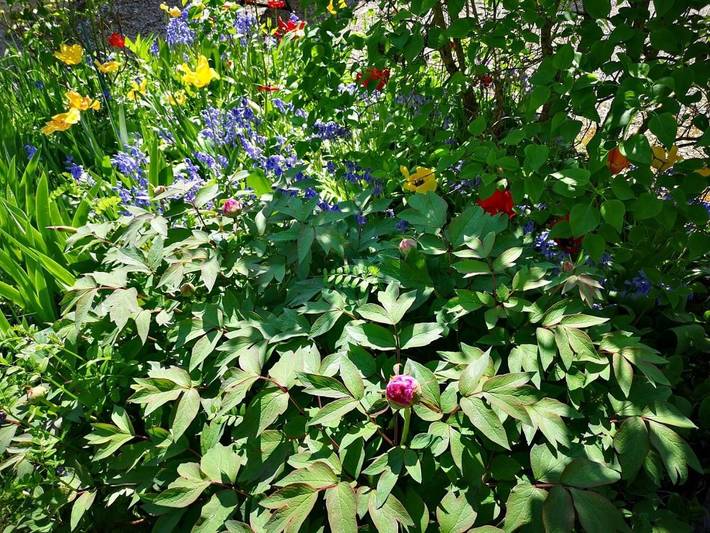 Chambre d’hôte pour 5 personnes, avec jardin, adapté aux familles dans vallée de l'Ouche - 3