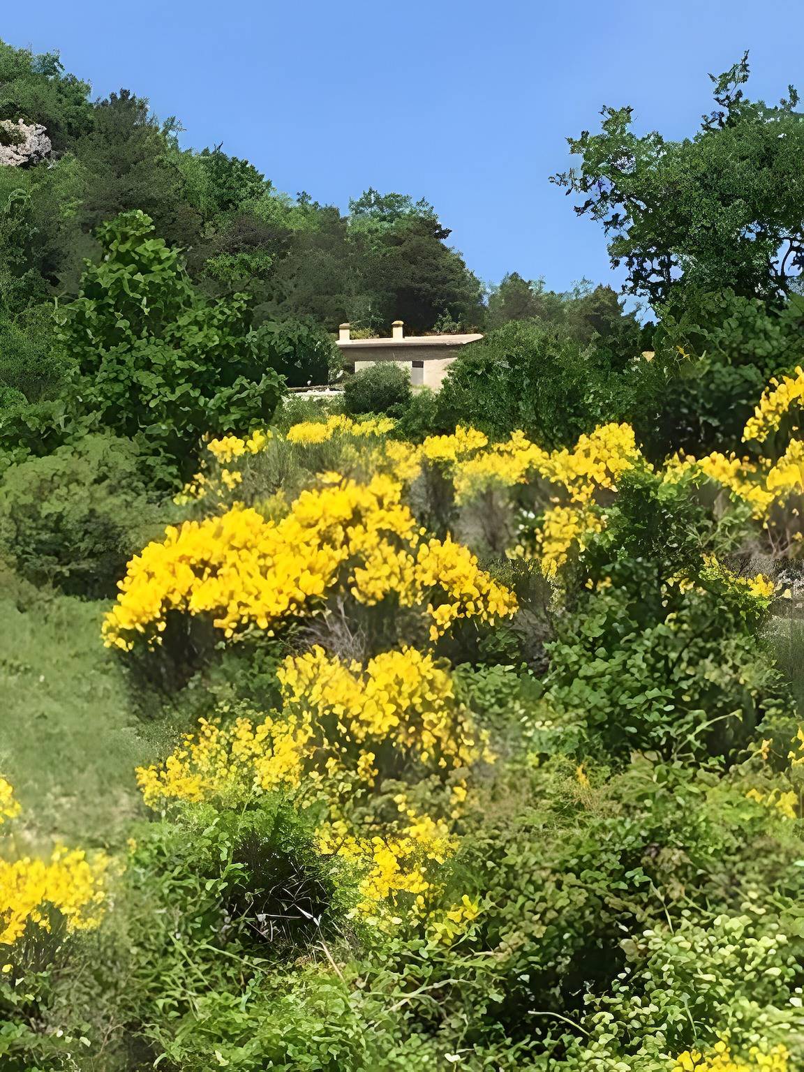 Évasion d’exception en Drôme Provençale avec vue panoramique in La Motte-Chalancon, Région de Die