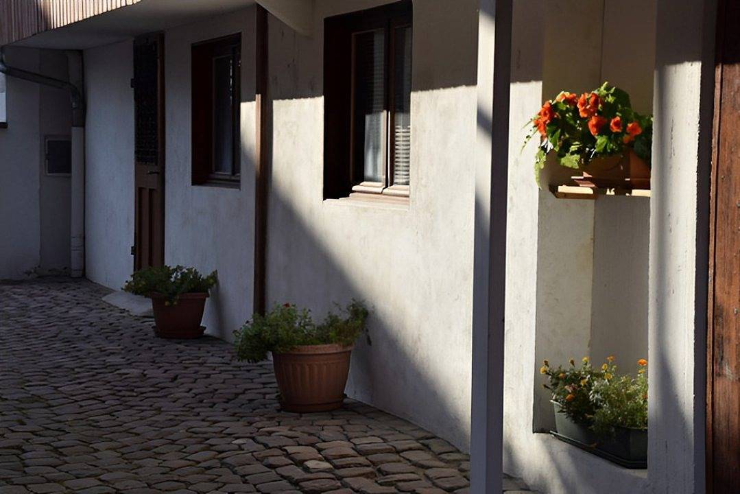 B&B Au Petit Ruisseau - Chambre Auguste in Plobsheim, Région de Strasbourg