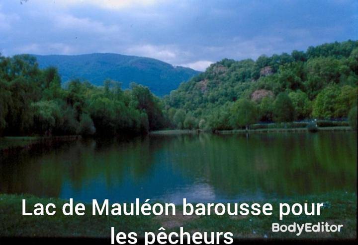 Appartement entier, One-Bedroom Apartment in Mauléon-Barousse, Pyrénées