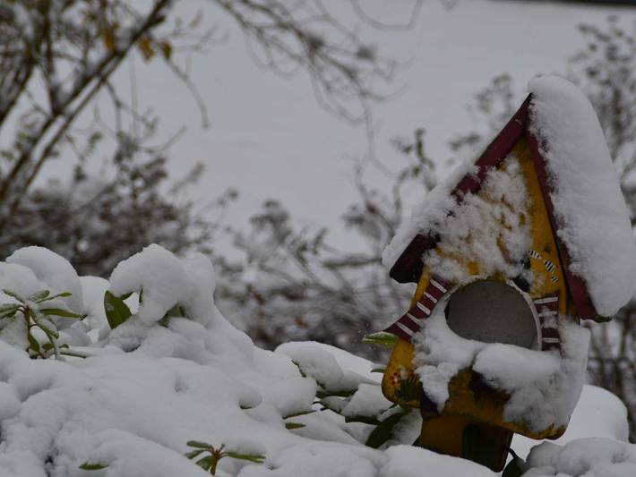 Bauernhaus für 2 Personen in Niedersachsen - 2